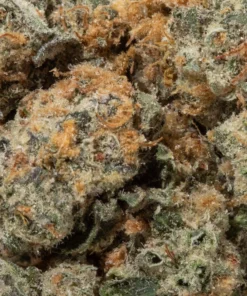 Citrus Skunk (AAA)