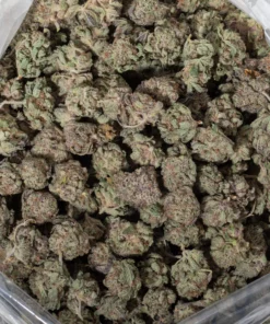 MK Ultra (AAA+/Popcorn)