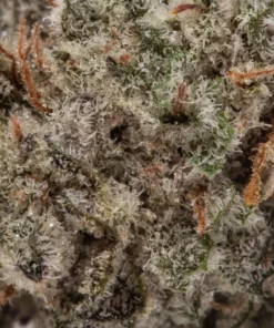 MK Ultra (AAA+/Popcorn)