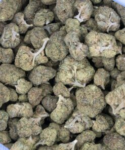 Jealousy (Budget Buds)