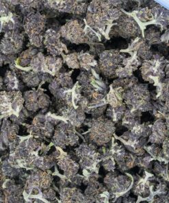 Purple Kush (Budget Buds)