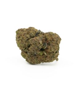 Jealousy (Budget Buds)