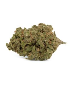 White Russian (Budget)