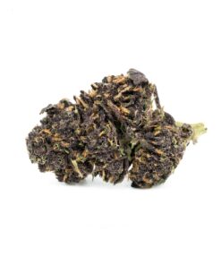 Purple Kush (Budget Buds)