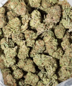 Birthday Cake (AAAA/AAAA+)