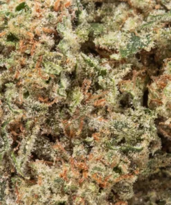 Birthday Cake (AAAA/AAAA+)