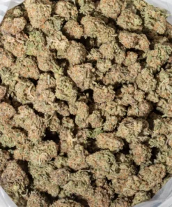 Biscotti (AAA/Popcorn)