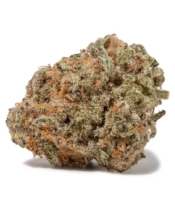 Biscotti (AAA/Popcorn)