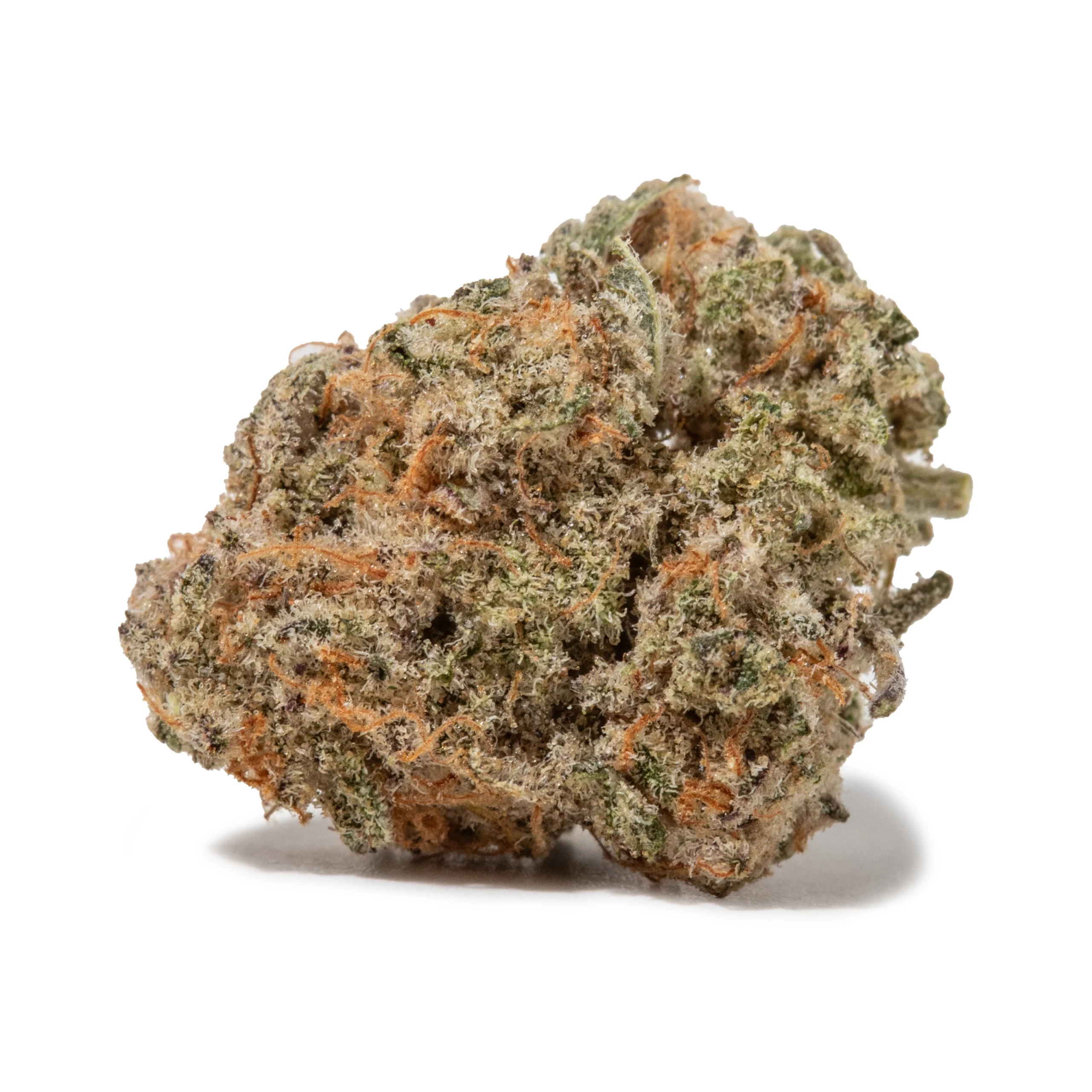 Biscotti (AAA/Popcorn)