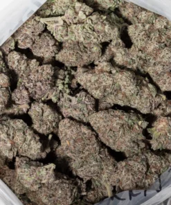 King Louis (AAAA/Craft)