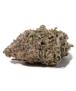 King Louis (AAAA/Craft)