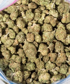 Blueberry Kush (Budget Buds)