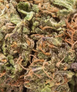 Blueberry Kush (Budget Buds)