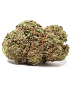 Blueberry Kush (Budget Buds)