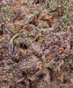 Ghost Train Haze (AAAA+)