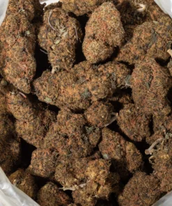 Permanent Marker (AAA+)