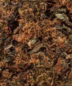 Permanent Marker (AAA+)