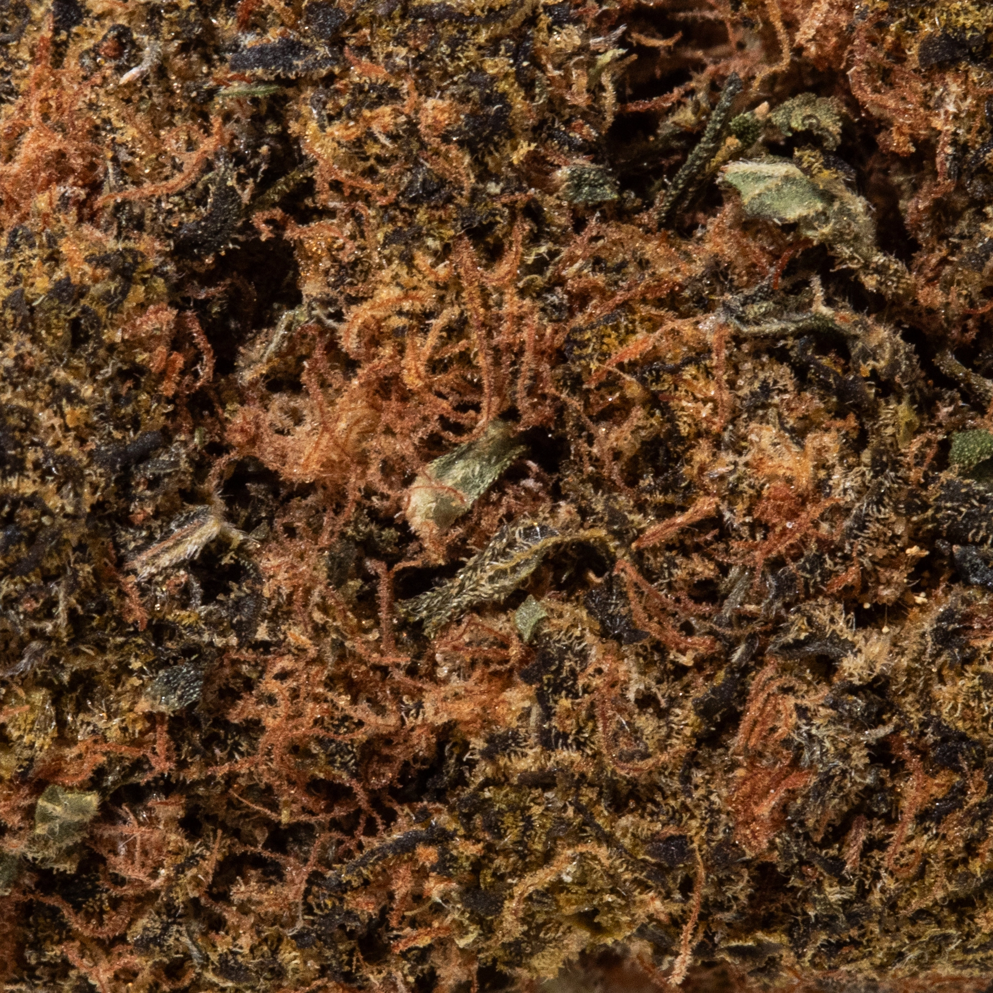 Permanent Marker (AAA+)