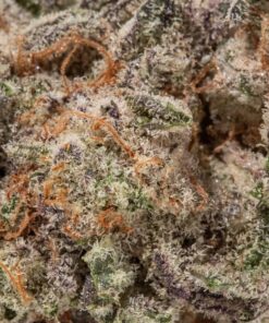 Slurricane (AAAA/AAAA+)