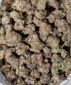 Slurricane (AAAA/AAAA+)