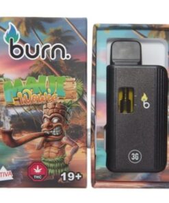Burn THC Disposable Vapes (3G)