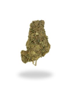 AA Critical Kush