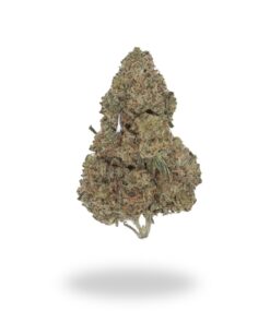 2 & 3 Ounce Deal: AA Great White Shark