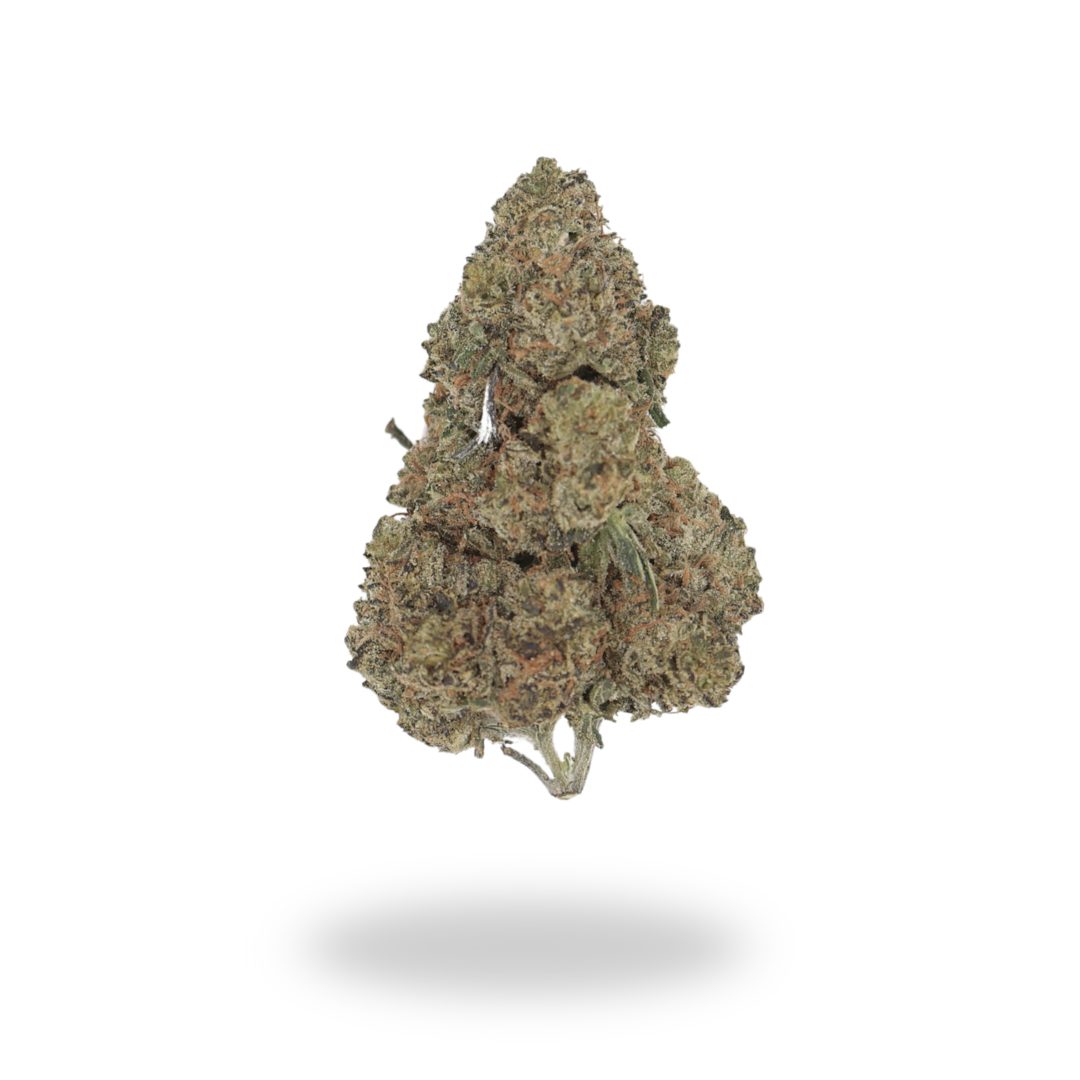 2 & 3 Ounce Deal: AA Great White Shark