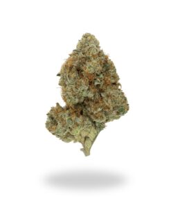 AAA Blueberry Cookies