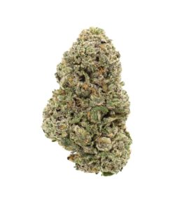 #1 Karma Cup: AAAA Grape Cream Cake By Quest