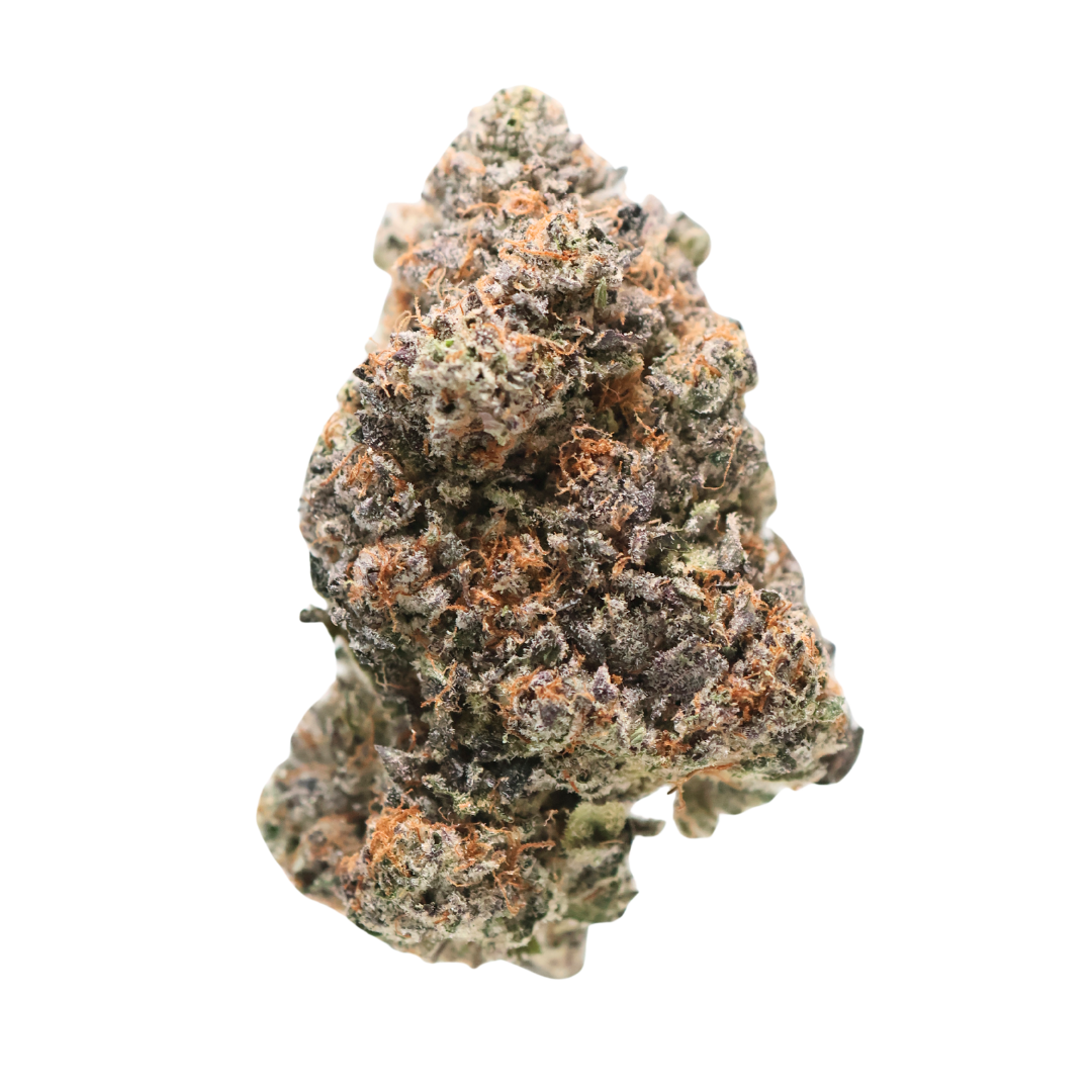 AAAA Gator Breath by Jungle Boys