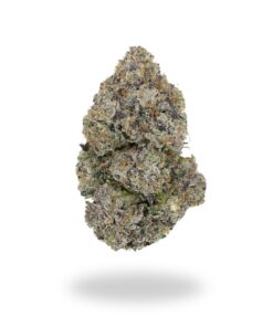 Bulk Deal: AAAA+ Lizard By Bubba Kings