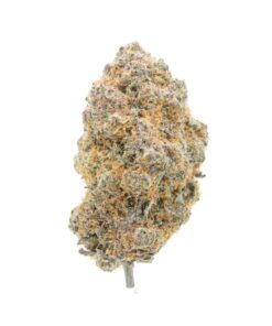 AAAA Slurricane