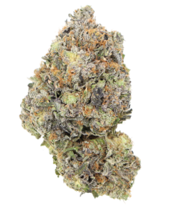 AAAA Slurricane