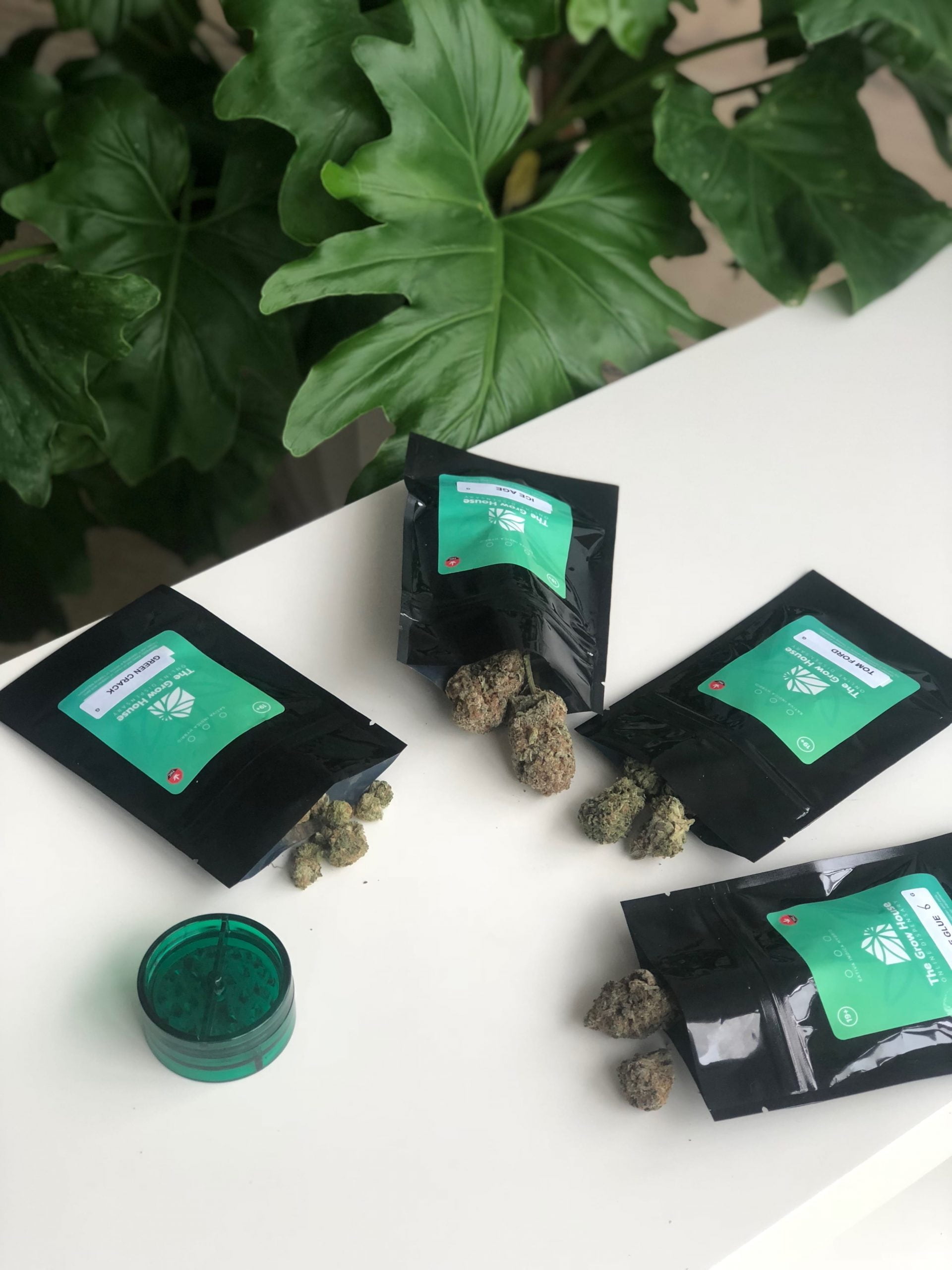 Deal of the Week Mini Monthly Subscription