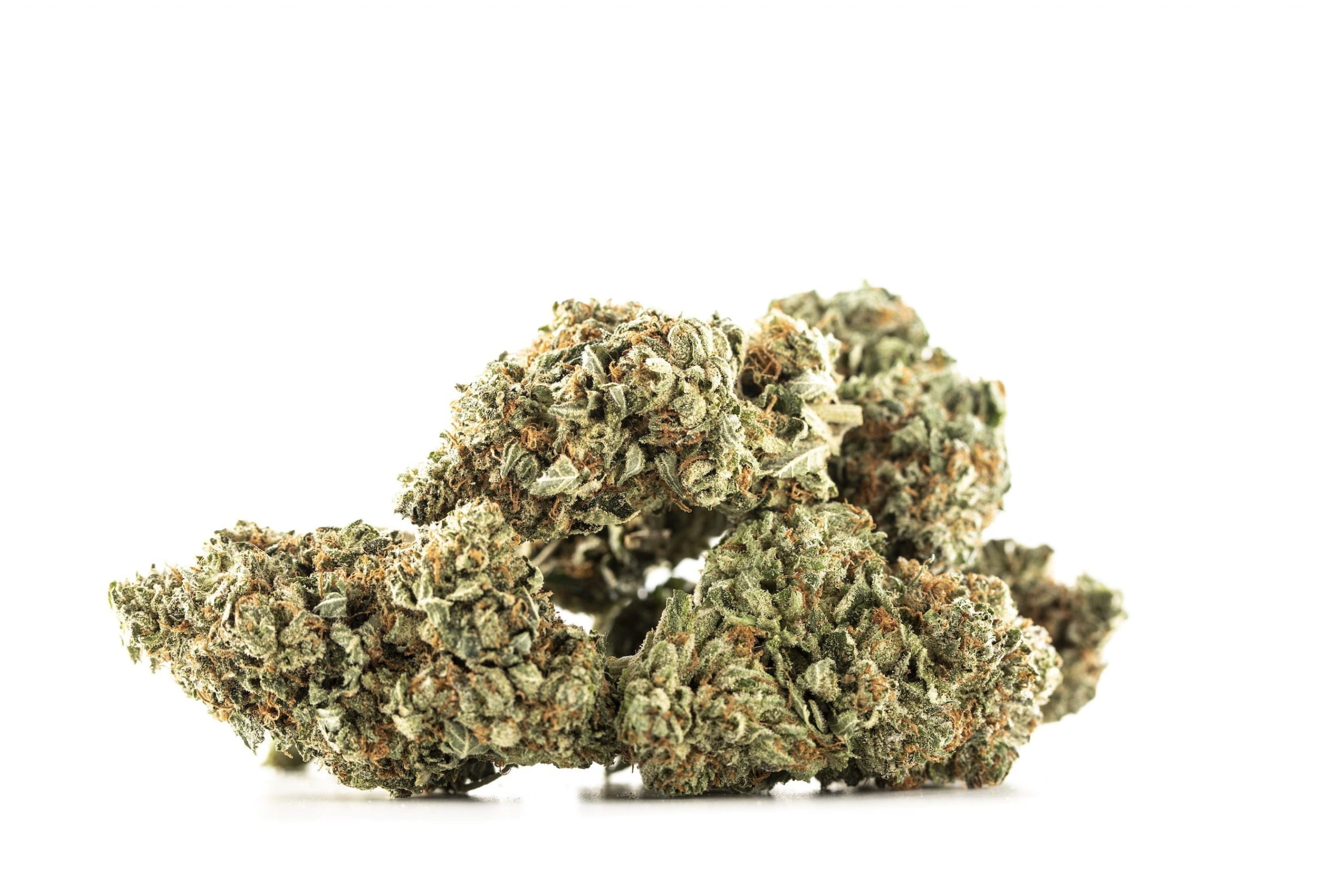 Purple Candy Smalls (QP) - Image 2