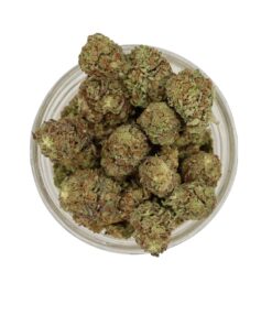 AA Alien Gorilla (1g)