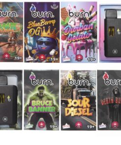 Burn THC Disposable Vapes (3G)