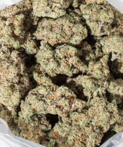 Bruce Banner (AAAA)