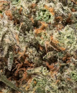 Bruce Banner (AAAA)