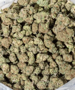 Purple Panty Dropper (AAAA/Popcorn)