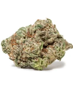 Purple Panty Dropper (AAAA/Popcorn)