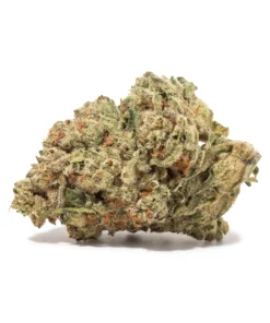 Citrus Tsunami (AA+)