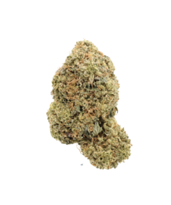 AA Acapulco Gold