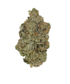AA Bruce Banner