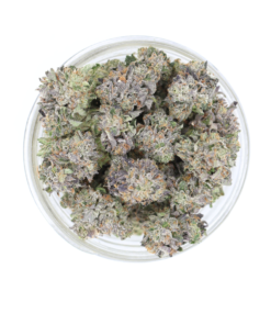 AA Tahoe OG Smalls