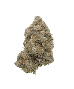 AAA Gelato