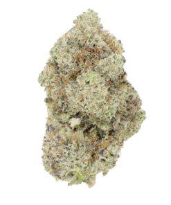 🏆 1st  Place Sativa Cup : AAAA Amnesia Haze | LSO