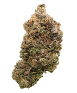 AAAA Gelato 45
