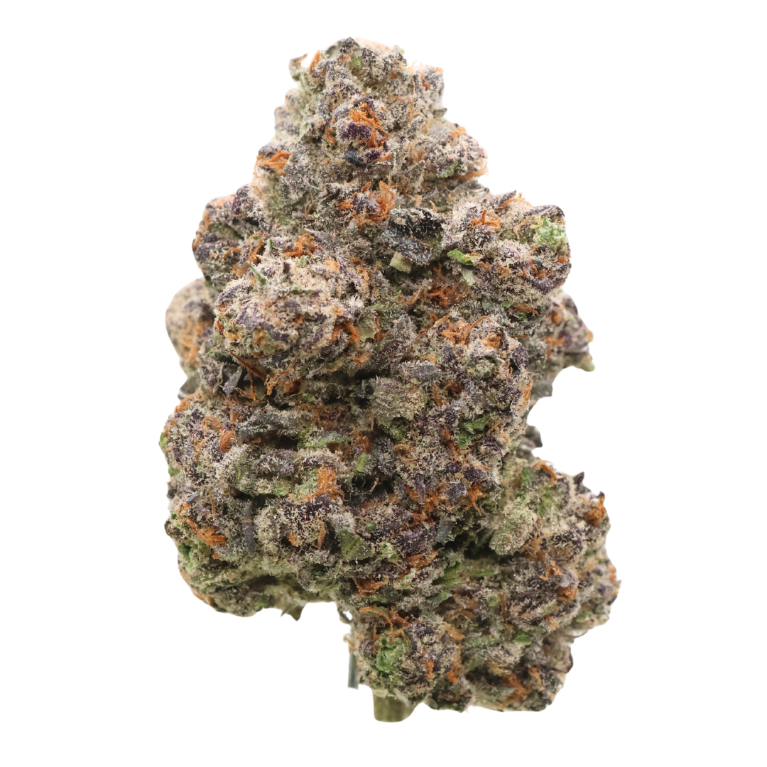 AAAA Jack Herer : 🏆 Cup Winning Sativa | LSO